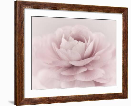 Stylisch Rose Pink-Cora Niele-Framed Photographic Print