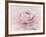 Stylisch Rose Pink-Cora Niele-Framed Photographic Print