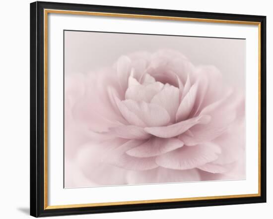 Stylisch Rose Pink-Cora Niele-Framed Photographic Print