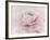 Stylisch Rose Pink-Cora Niele-Framed Photographic Print