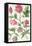 Stylised Study of Flowers-Nicolas Robert-Framed Premier Image Canvas