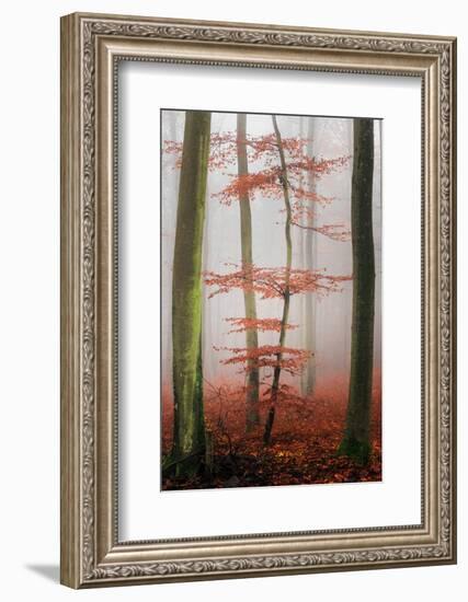 Stylishness-Philippe Sainte-Laudy-Framed Photographic Print