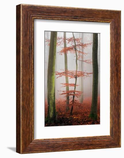 Stylishness-Philippe Sainte-Laudy-Framed Photographic Print