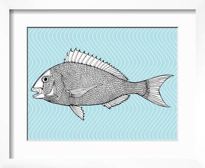 Stylized Fish. Sea Fish. Dorado. Black and White Drawing by Hand. Line Art.  Tattoo. Doodle. Graphic' Art Print - In Art