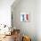 Stylized Map of France. Things that Different Regions in France are Famous For.-Alisa Foytik-Mounted Art Print displayed on a wall
