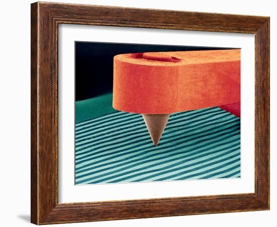 Stylus, SEM-Susumu Nishinaga-Framed Photographic Print