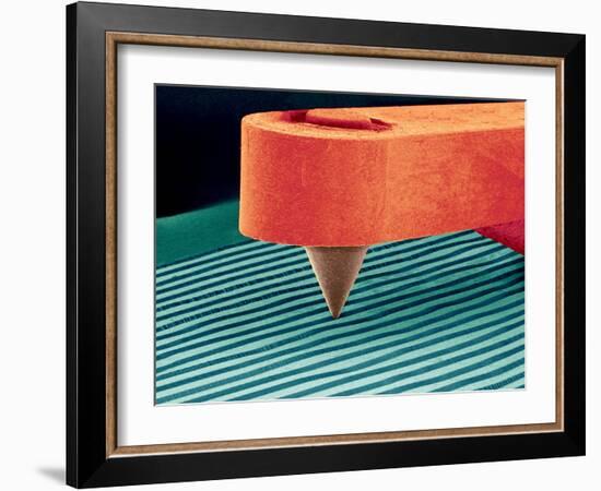 Stylus, SEM-Susumu Nishinaga-Framed Photographic Print