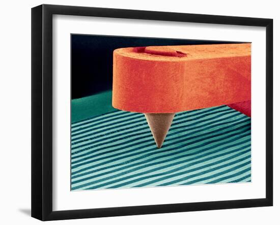 Stylus, SEM-Susumu Nishinaga-Framed Photographic Print