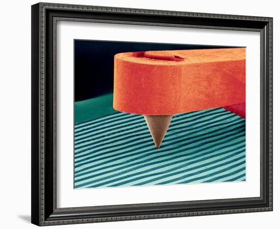 Stylus, SEM-Susumu Nishinaga-Framed Photographic Print