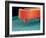 Stylus, SEM-Susumu Nishinaga-Framed Photographic Print