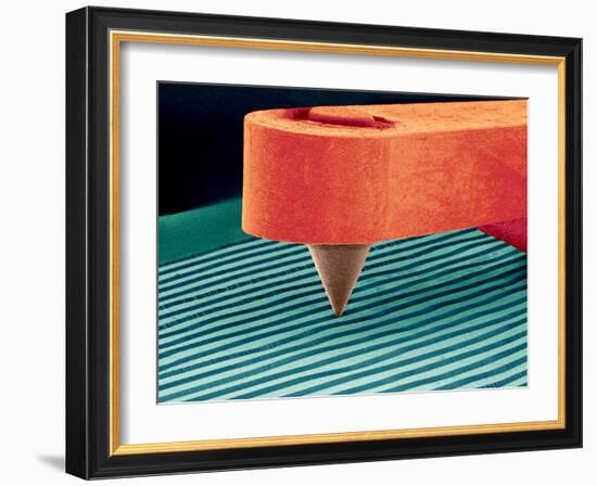 Stylus, SEM-Susumu Nishinaga-Framed Photographic Print