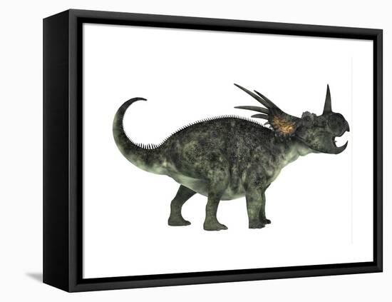 Styracosaurus, a Herbivorous Ceratopsian Dinosaur-null-Framed Stretched Canvas