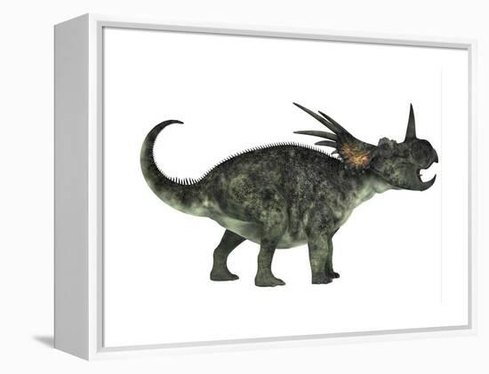 Styracosaurus, a Herbivorous Ceratopsian Dinosaur-null-Framed Stretched Canvas
