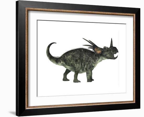 Styracosaurus, a Herbivorous Ceratopsian Dinosaur-null-Framed Art Print