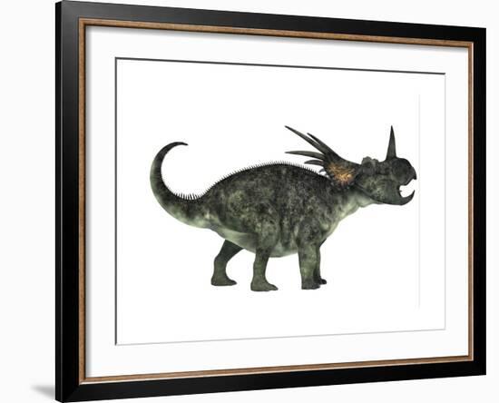 Styracosaurus, a Herbivorous Ceratopsian Dinosaur-null-Framed Art Print