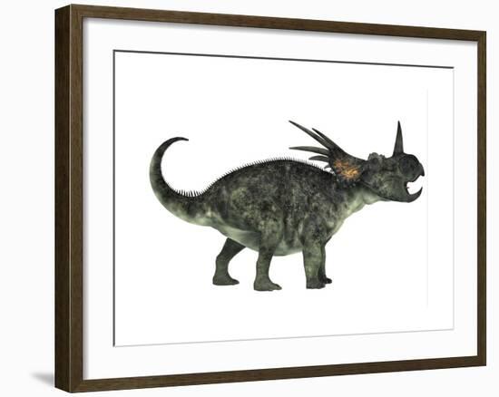 Styracosaurus, a Herbivorous Ceratopsian Dinosaur-null-Framed Art Print