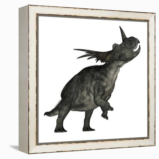 Styracosaurus Dinosaur Roaring-Stocktrek Images-Framed Stretched Canvas