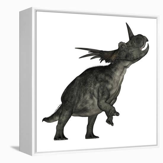 Styracosaurus Dinosaur Roaring-Stocktrek Images-Framed Stretched Canvas