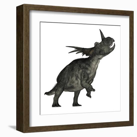 Styracosaurus Dinosaur Roaring-Stocktrek Images-Framed Art Print