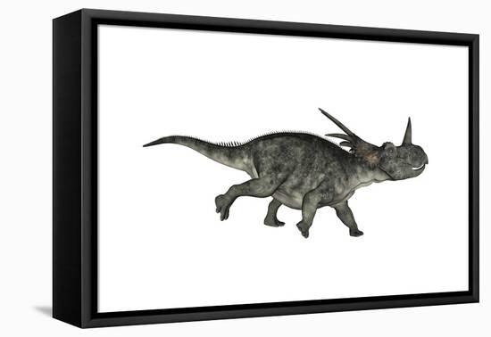 Styracosaurus Dinosaur Running-Stocktrek Images-Framed Stretched Canvas