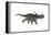 Styracosaurus Dinosaur Running-Stocktrek Images-Framed Stretched Canvas