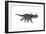 Styracosaurus Dinosaur Running-Stocktrek Images-Framed Premium Giclee Print