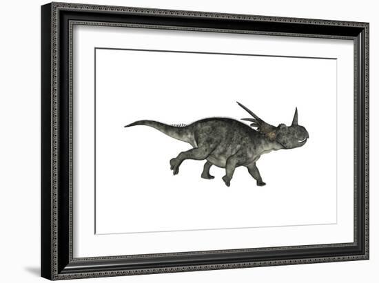 Styracosaurus Dinosaur Running-Stocktrek Images-Framed Art Print