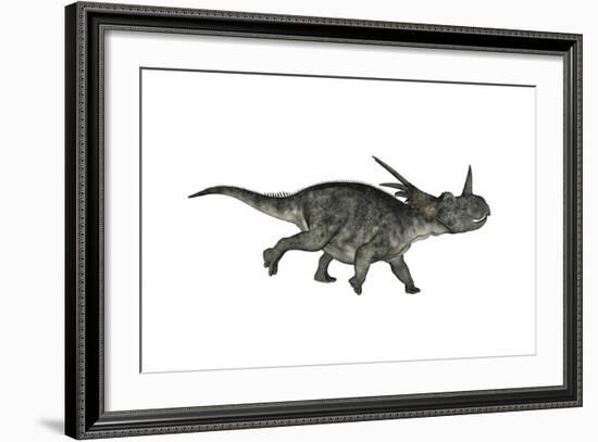 Styracosaurus Dinosaur Running-Stocktrek Images-Framed Art Print