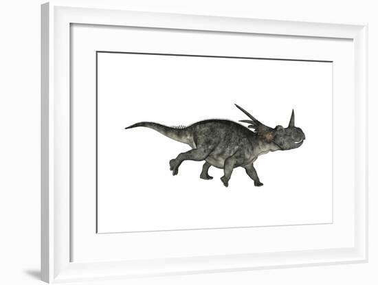 Styracosaurus Dinosaur Running-Stocktrek Images-Framed Art Print