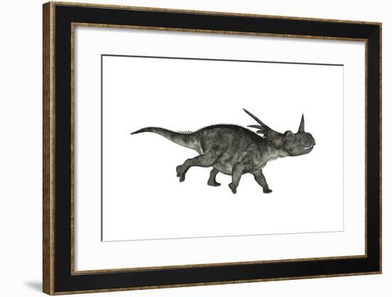 Styracosaurus Dinosaur Running-Stocktrek Images-Framed Art Print