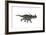 Styracosaurus Dinosaur Running-Stocktrek Images-Framed Art Print