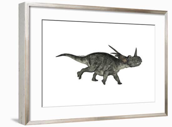 Styracosaurus Dinosaur Running-Stocktrek Images-Framed Art Print