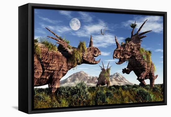 Styracosaurus Dinosaur Sculptures-null-Framed Stretched Canvas