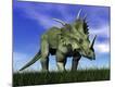 Premium Giclee Print