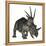 Styracosaurus Dinosaur-Stocktrek Images-Framed Stretched Canvas