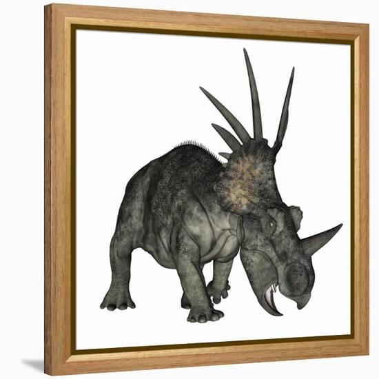 Styracosaurus Dinosaur-Stocktrek Images-Framed Stretched Canvas