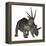 Styracosaurus Dinosaur-Stocktrek Images-Framed Stretched Canvas