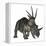 Styracosaurus Dinosaur-Stocktrek Images-Framed Stretched Canvas