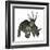 Styracosaurus Dinosaur-Stocktrek Images-Framed Art Print