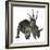 Styracosaurus Dinosaur-Stocktrek Images-Framed Art Print