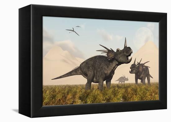 Styracosaurus Dinosaurs Calling Out to Each Other-Stocktrek Images-Framed Stretched Canvas