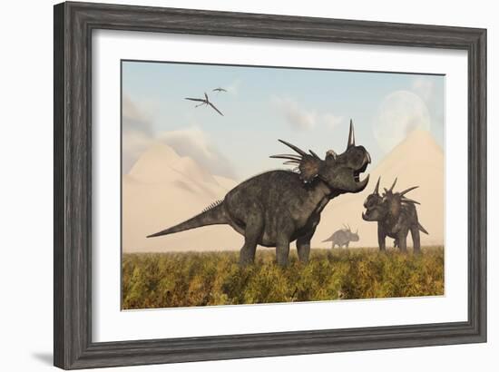 Styracosaurus Dinosaurs Calling Out to Each Other-Stocktrek Images-Framed Art Print