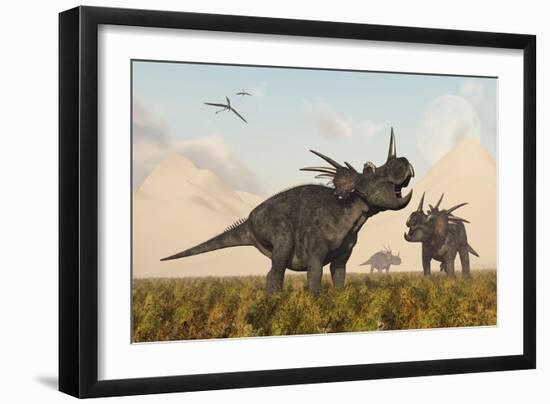 Styracosaurus Dinosaurs Calling Out to Each Other-Stocktrek Images-Framed Art Print