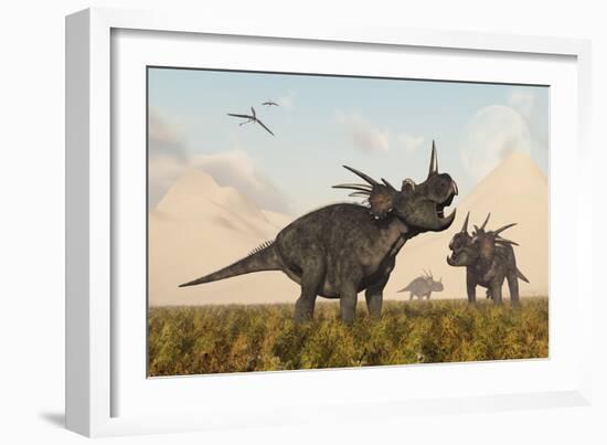 Styracosaurus Dinosaurs Calling Out to Each Other-Stocktrek Images-Framed Art Print