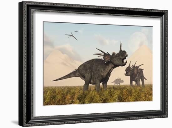 Styracosaurus Dinosaurs Calling Out to Each Other-Stocktrek Images-Framed Art Print