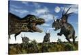 Stretched Canvas Print