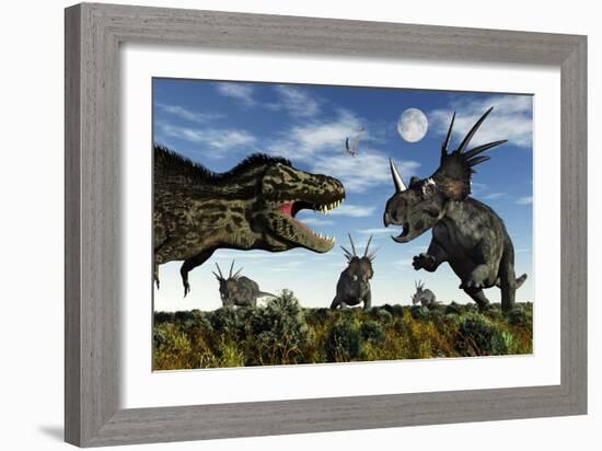 Styracosaurus Dinosaurs Confront a Tyrannosaurus Rex-null-Framed Art Print