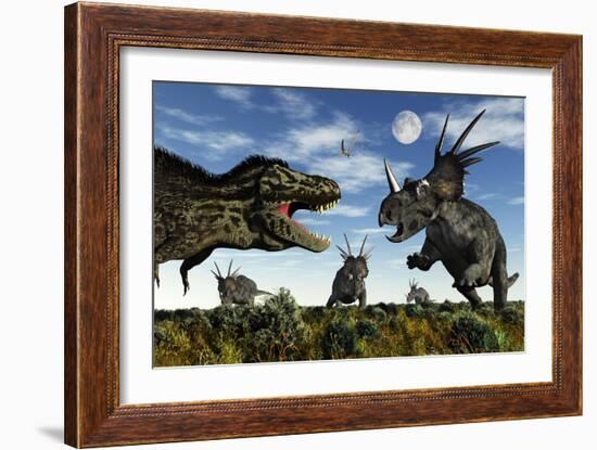 Styracosaurus Dinosaurs Confront a Tyrannosaurus Rex-null-Framed Art Print