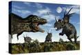 Stretched Canvas Print