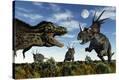 Stretched Canvas Print